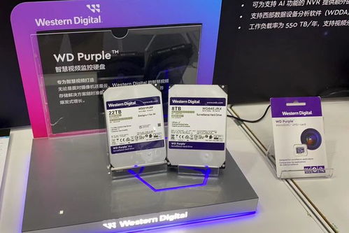 西部數(shù)據(jù)亮相2023物聯(lián)網(wǎng)產(chǎn)業(yè)大會(huì) 以專業(yè)存儲(chǔ)與數(shù)據(jù)處理方案，賦能萬(wàn)物智聯(lián)新時(shí)代